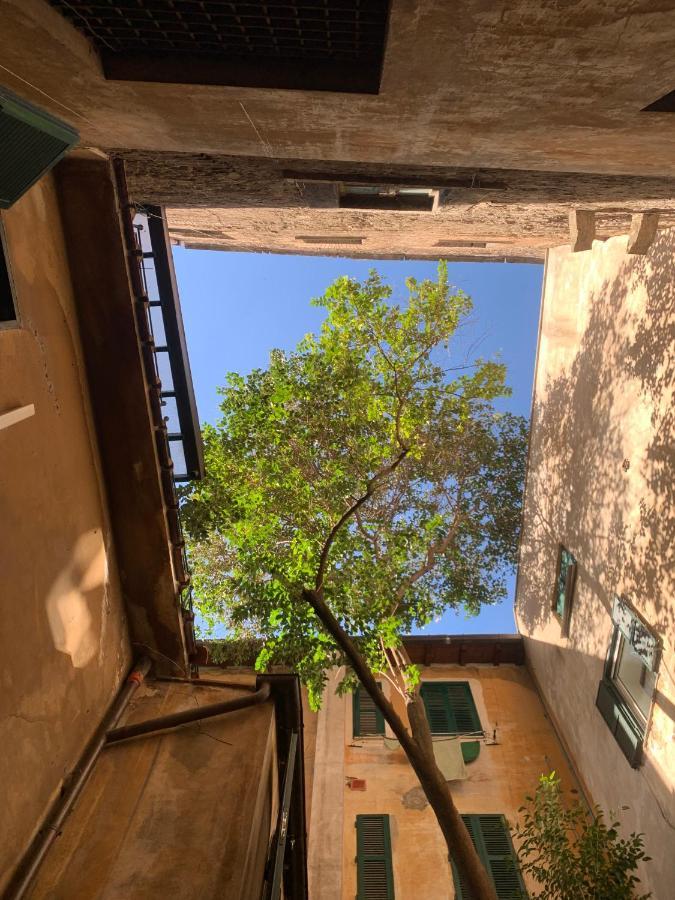 Navona Apartment Roma Dış mekan fotoğraf