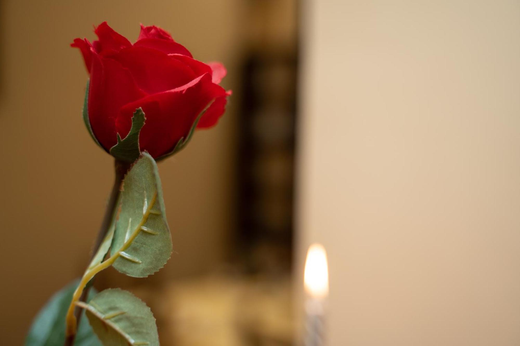 Navona Apartment Roma Dış mekan fotoğraf
